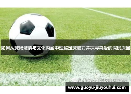 如何从球场激情与文化内涵中理解足球魅力并探寻喜爱的深层原因