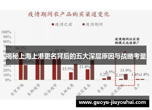 揭秘上海上港更名背后的五大深层原因与战略考量
