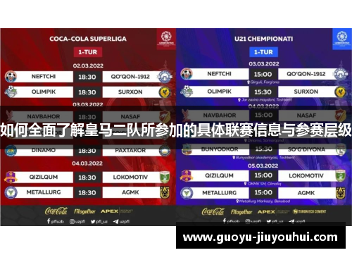 如何全面了解皇马二队所参加的具体联赛信息与参赛层级