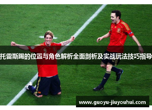 托雷斯踢的位置与角色解析全面剖析及实战玩法技巧指导